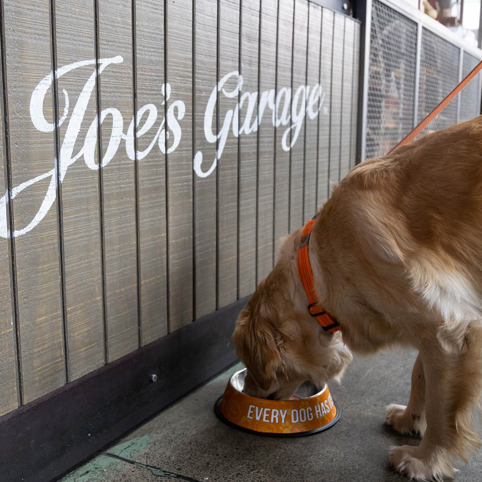 Joe's Garage Dog Bowl - Large